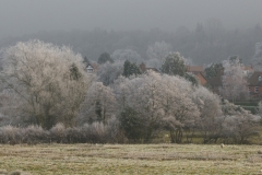 Frosty Morning by Dick Ward