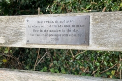 Hall field bench   -